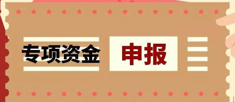 企业项目资金申报流程是怎样的(企业项目资金申报)